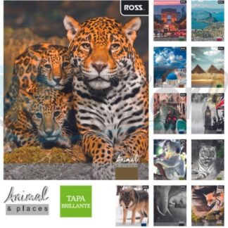 Cuaderno universitario 100 hjs, 7 mm ROSS Animales y ciudades
