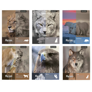 Cuaderno Universitario 100 hjs 7 mm PROARTE Nature