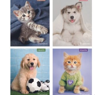 Cuaderno Universitario 100 hjs 7 mm PROARTE Animales adorables